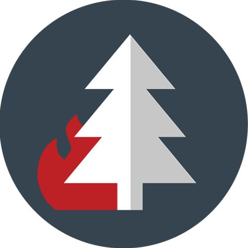tree on fire icon